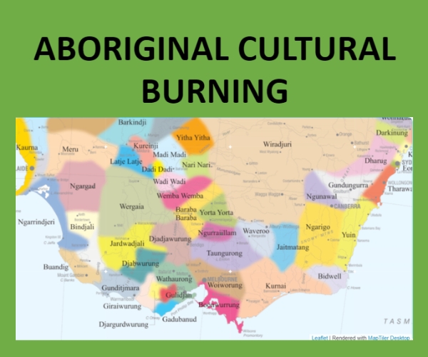 Aboriginal Burning